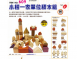 609 小樹一家單位積木組 (56pcs/盒)
